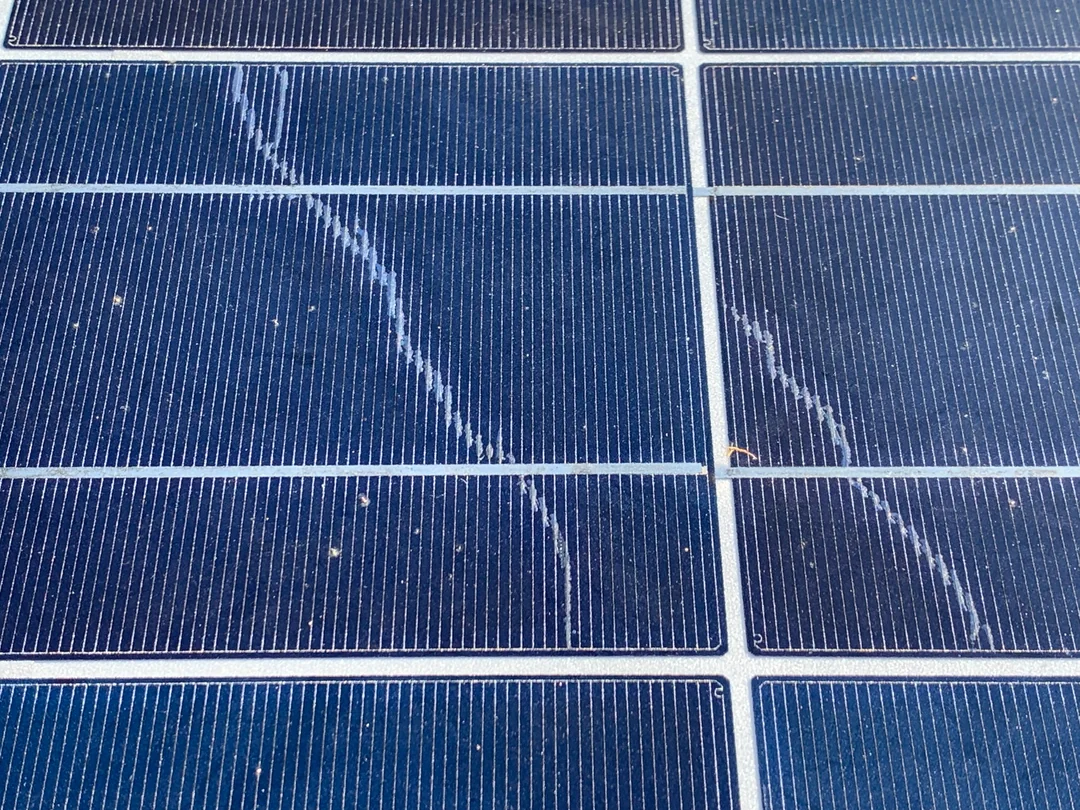 Snail trail on a solar panel